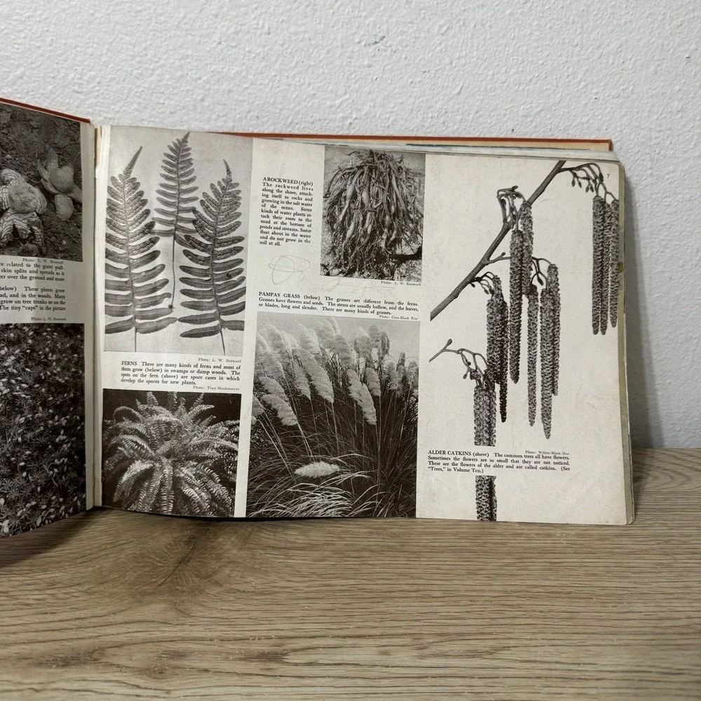 1939 Childcraft Volume 14: Science and Industry;‎ Large Illustrated HC, Vintage